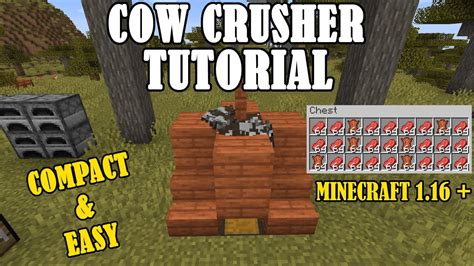 EASY COW FARM TUTORIAL FOR MINECRAFT 1.16+ - YouTube