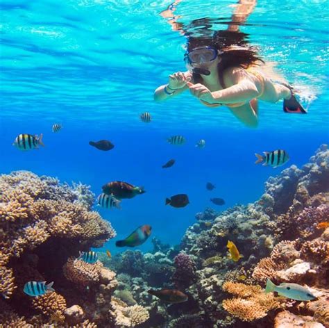 Florida Keys Snorkeling: 12 Best Places & Tours - Sunlight Living