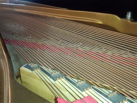 File:Grand piano string - Copper and Steel Strings, at piano shop Steinway Pianos of Calgary.jpg ...