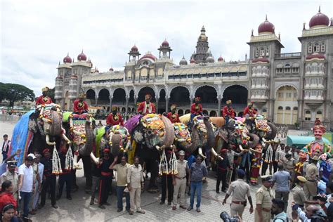 Dasara 2023: Dasara elephants arrive at Mysore Palace; receive rousing ...