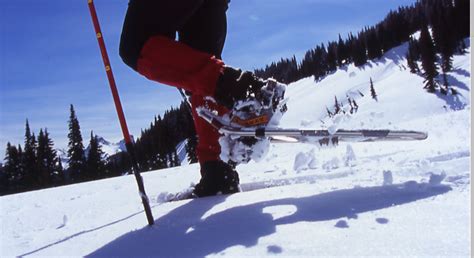 First-Timer’s Guide to Snowshoeing | Snowshoe Magazine