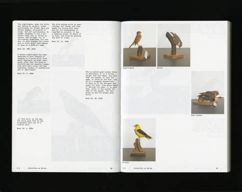 Ornithology | Blind Finch Books