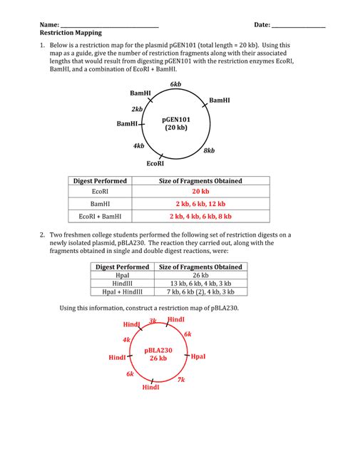 Plasmid Mapping Practice Worksheet 1 - Fill Online, Printable, Fillable ...