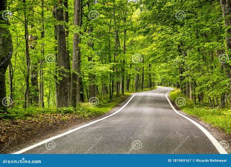 Beautiful Northern Michigan Tunnel Of Trees Scenic Drive Royalty-Free Stock Photo ...