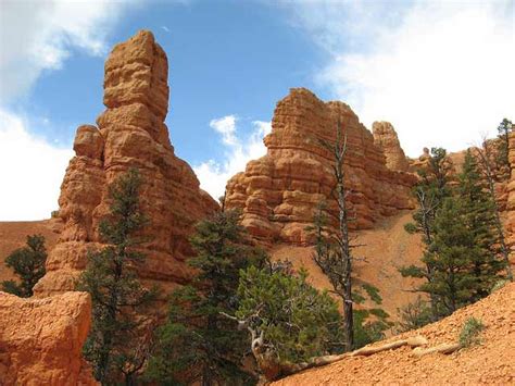 Red Canyon Utah | Red Canyon Dixie National Forest