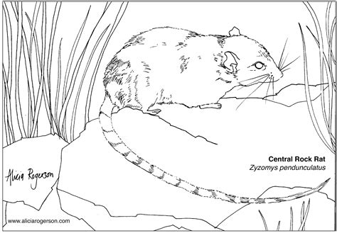 Global Warming Endangered Animals Coloring Pages