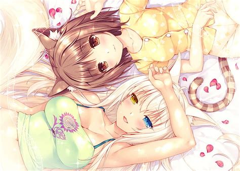 HD wallpaper: Anime, Nekopara, Azuki (Nekopara), Coconut (Nekopara) | Wallpaper Flare