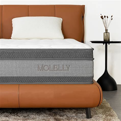 Queen Mattress, MOLBLLY 12 Inch Cooling-Gel Memory Foam and Individually Pocket Innerspring ...