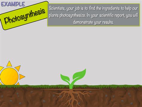 Photosynthesis Process Animation