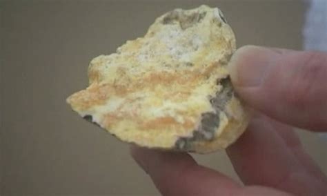 Whale vomit found on beach could be worth £100,000 - video ...