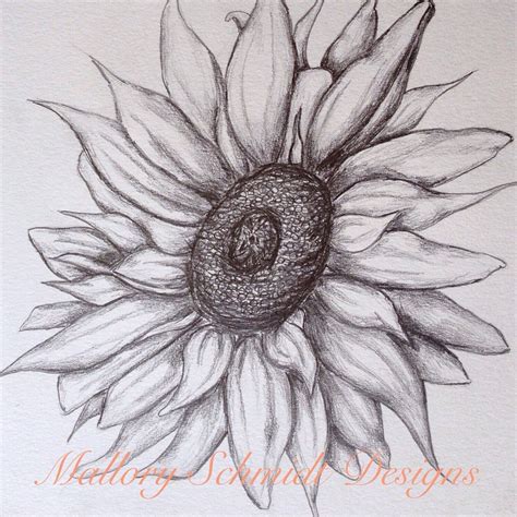 Sunflower Home decor Original Pencil Drawing Wall art | Etsy