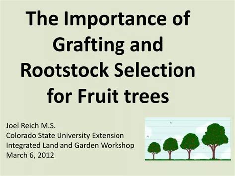 PPT - The Importance of Grafting and Rootstock Selection for Fruit ...