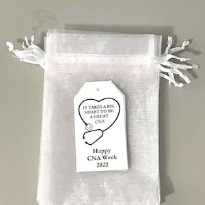 Nurse Survival Kit Bags and Tags, Healthcare Survival Kit, School Nurse ...