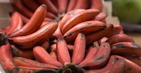 7 Red Banana Benefits (And How They Differ From Yellow Ones)