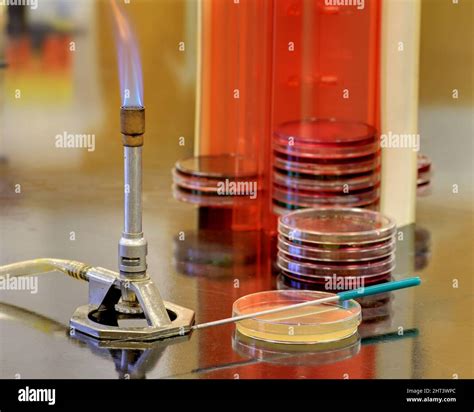 The equipment in a microbiology lab Stock Photo - Alamy