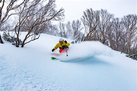 Big Snow in Australia Today | Snow Totals, VIDEOS, Photo Tour: - SnowBrains