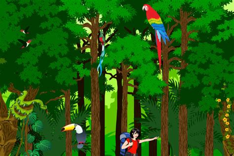 19 Must Know Rainforest Facts For Kids