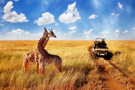 African Safari Tours | smarTours