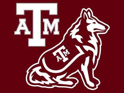 Go aggies | Texas a&m, Texas, Texas a m university