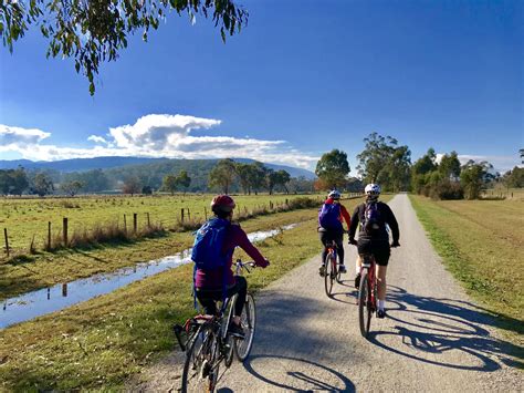 Yarra Valley Bike Tour – Lilydale to Warburton Rail Trail Day Trip ...