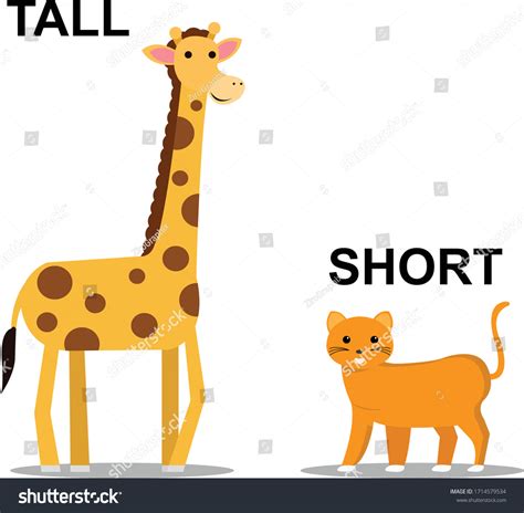 Clipart Tall