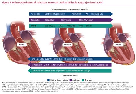 Main Determinants of Transition from Heart Failure | Radcliffe Cardiology