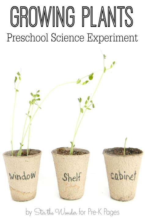 Science for Kids: Growing Plants Experiment - Pre-K Pages