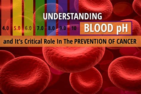 Understanding Blood pH And It's Critical Role In The Prevention Of Cancer | The Truth About Cancer