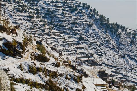 Dhanaulti - snow clad hill - Footwa