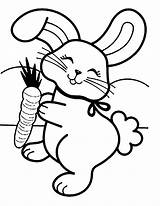 Free rabbit coloring page To Download  Rabbit & Bunny Coloring Pages sketch template