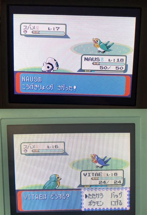 [3] Found a random shiny Taillow on Route 116! : ShinyPokemon