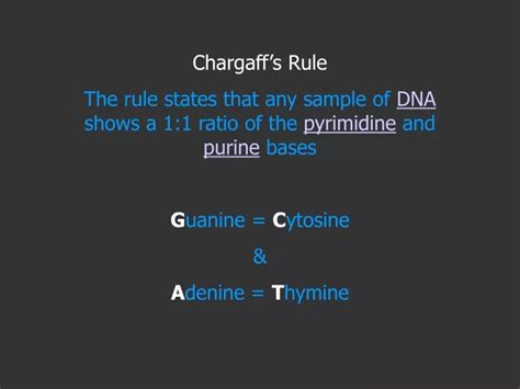 PPT - Chargaff’s Rule PowerPoint Presentation, free download - ID:9459944