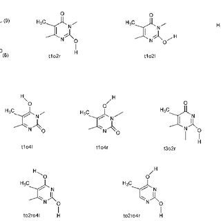 Seven of the most stable structures of uracil tautomers with one water... | Download Scientific ...