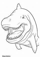 Basking Shark coloring Pages  Free Printable sketch template
