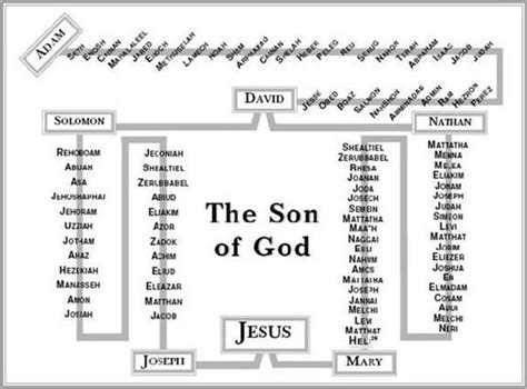 JESUS FAMILY TREE RECORDS | Genealogy of jesus, Jesus family tree ...