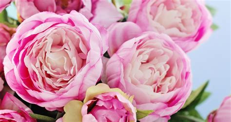 5 Favorite Flowers To Give Mom on Mother's Day - Farmers' Almanac ...