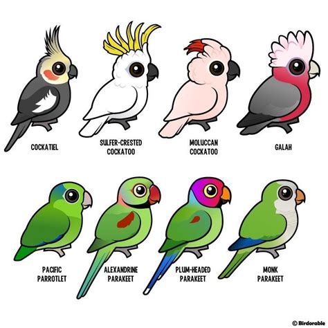 Pin by Lisset on Birds | Parrots art, Cute drawings, Bird drawings