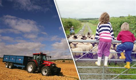 UK farming set for post-Brexit boost as Britain escapes EU's Common Agricultural Policy | UK ...