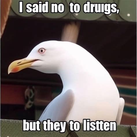 “Funny seagull meme” : r/weirddalle