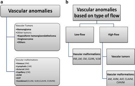 Clinical and therapeutic approaches to vascular lesions. a... | Download Scientific Diagram