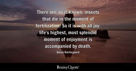 Soren Kierkegaard Quotes - BrainyQuote