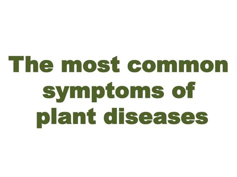 The most common symptoms of plant diseases | PPT