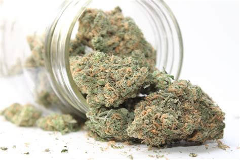 Cannabis Indica vs. Sativa: What's the Difference?