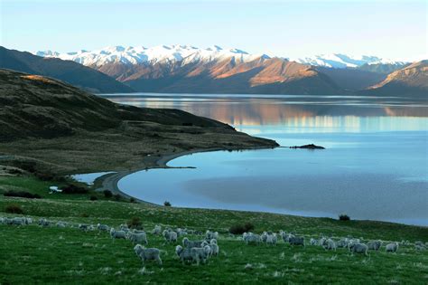 Lake Wanaka scenic drive in Central Otago - Discover Wanaka