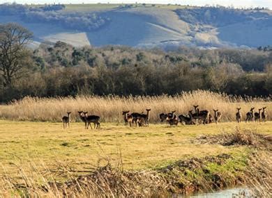 Pulborough - Village in West Sussex - Visit South East England