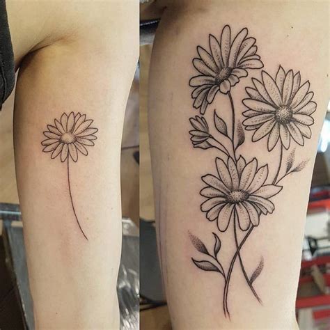 Pin by hiếu art on mini | Daisy flower tattoos, Daisy tattoo designs, Daisy tattoo