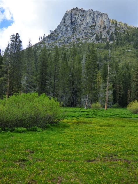 Geotripper: The Other California: Clark Fork of the Stanislaus, a quiet ...