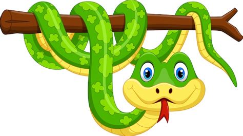 Premium Vector | Cute green snake cartoon on branch