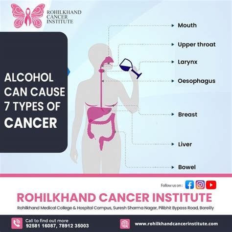 Alcohol can cause 7 types of cancer - Rohilkhand Cancer Institute | Pet ...