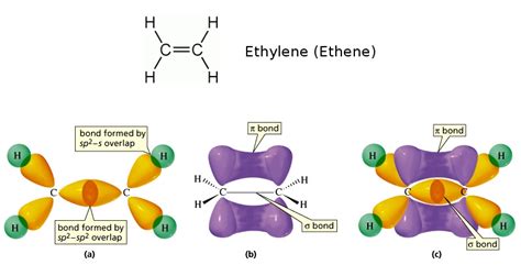 The structure of linalool, a compound with a floral scent used in perfumes, How many pi bonds ...